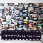 lab