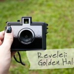 goldenhalf01