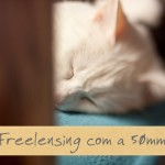 freelensing01