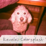 revelei_colorsplah01