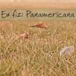 pana2_01