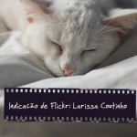 lari_flickr_01