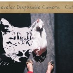 cats_camera01