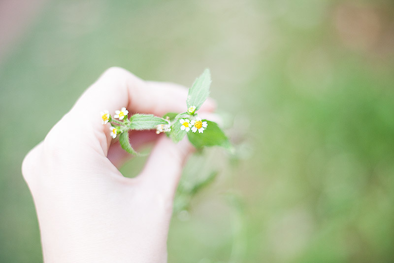 nevoa_foto_05