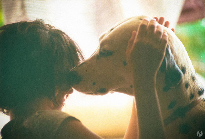 galeria_leitores_cachorros_11