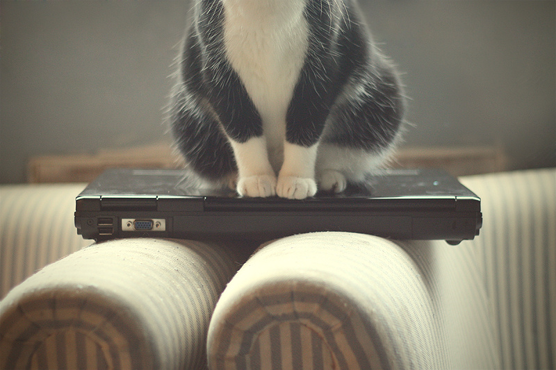 5929841323_41457fdc1c_b