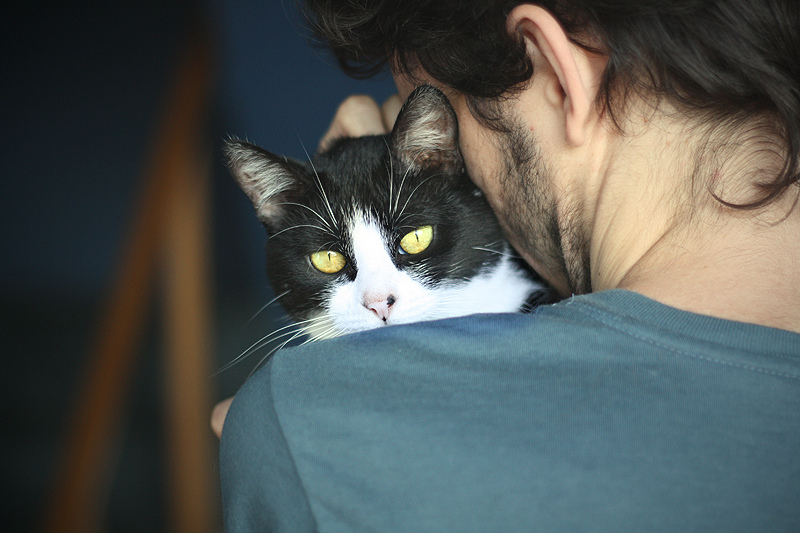 6049624808_22368605fa_b