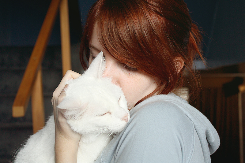 6100345318_8cec6f3766_b