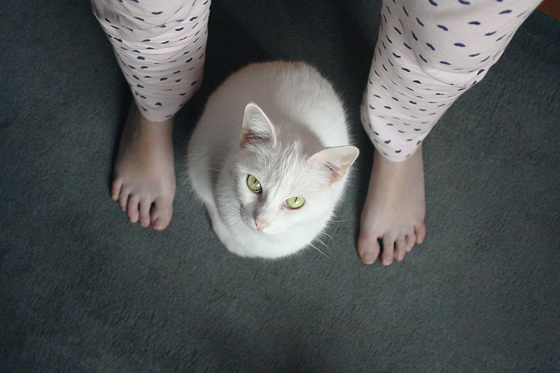 6150488076_794168ee23_b